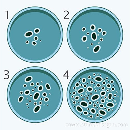 High-Quality Boro Glass Petri Dish for Culturing Animals, Plants, and Bacteria